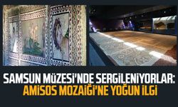 Samsun Müzesi'nde sergleniyorlar: Amisos Mozaiği'ne yoğun ilgi