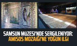 Samsun Müzesi'nde sergileniyor: Amisos Mozaiği'ne yoğun ilgi