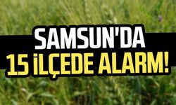 Samsun'da 15 ilçede alarm!