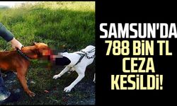 Samsun'da 788 bin TL ceza kesildi!