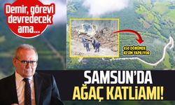 Samsun'da Bayraktepe'de ağaç katliamı! Mustafa Demir görevi devredecek ama...