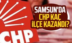 Samsun'da CHP kaç ilçe kazandı?
