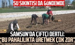 Samsun'da çiftçi dertli: "Bu pahalılıkta üretmek çok zor"