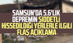 Samsun'da 5.6'lık Tokat depreminin şiddetli hissedildiği yerlerle ilgili flaş açıklama