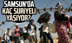 Samsun'da kaç Suriyeli yaşıyor?