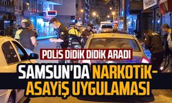Samsun'da narkotik-asayiş uygulaması: Polis didik didik aradı