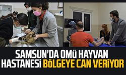 Samsun'da Omü Hayvan Hastanesi bölgeye can veriyor