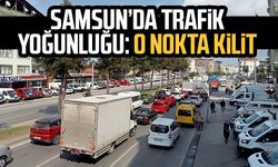 Samsun-Ordu kara yolunda trafik yoğunluğu: O nokta kilit