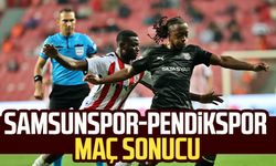 Yılport Samsunspor - Pendikspor maç sonucu