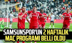 Samsunspor'un 2 haftalık maç programı belli oldu