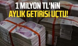 1 milyon TL'nin aylık getirisi uçtu!