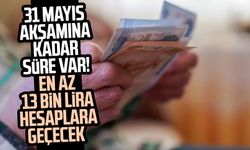 31 Mayıs akşamına kadar süre var! En az 13 bin lira hesaplara geçecek