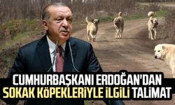 Cumhurbaşkanı Erdoğan'dan sokak köpekleriyle ilgili talimat