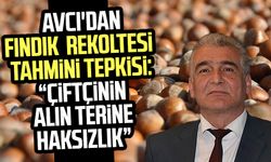 Erdal Avcı'dan fındık rekolte tahmini tepkisi: "Çiftçinin alın terine haksızlık"