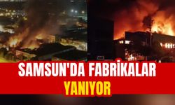 Samsun'da fabrikalar yanıyor