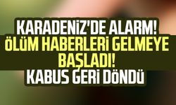 Karadeniz'de alarm! Ölüm haberleri gelmeye başladı, kabus geri döndü