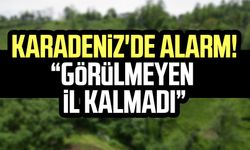 Karadeniz'de alarm! Uzman isim açıkladı: "Görülmeyen il kalmadı"