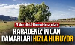 El Nino etkisi! Uzman isim açıkladı: Karadeniz'in can damarları hızla kuruyor