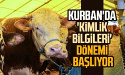 Kurban'da 'kimlik bilgileri' dönemi başlıyor: Üç adımda sorgulama