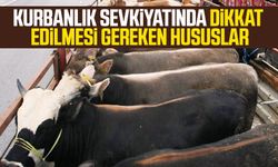 Kurbanlık sevkiyatında dikkat edilmesi gereken hususlar
