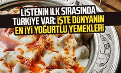 Listenin ilk sırasında Türkiye var: İşte dünyanın en iyi yoğurtlu yemekleri