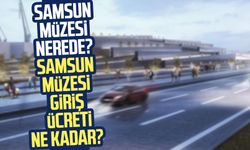 Samsun Müzesi nerede? Samsun Müzesi giriş ücreti ne kadar?