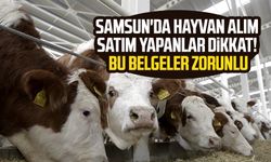 Samsun'da hayvan alım satım yapanlar dikkat! Bu belgeler zorunlu