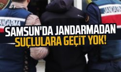 Samsun'da jandarmadan suçlulara geçit yok! Yüzlerce şüpheli yakalandı