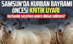Kurbanlık seçerken nelere dikkat edilmesi? Samsun'da Kurban Bayramı öncesi kritik uyarı