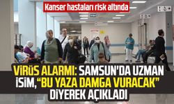 Virüs alarmı: Samsun'da uzman isim, "Bu yaza damga vuracak" diyerek açıkladı