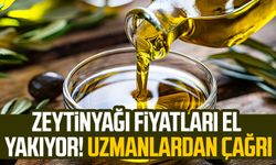 Zeytinyağı fiyatları el yakıyor! Uzmanlardan çağrı