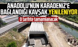 Anadolu'nun Karadeniz'e bağlandığı kavşak yenileniyor: O tarihte tamamlanacak