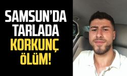 Samsun'da tarlada korkunç ölüm! Yasin Usta hayatını kaybetti