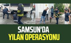 Samsun Bafra'da yılan operasyonu