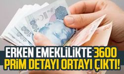 Erken emeklilikte 3600 prim detayı ortayı çıktı!