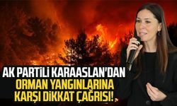 AK Parti Genel Başkan Yardımcısı Çiğdem Karaaslan'dan orman yangınlarına karşı dikkat çağrısı!