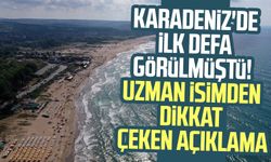 Karadeniz'de ilk defa görülmüştü! Uzman isimden dikkat çeken açıklama