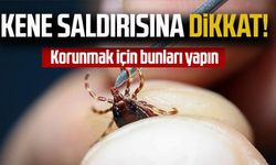 Bağ, bahçe, tarlada keneden nasıl korunuruz? İşte basit yolu