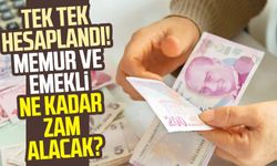 Tek tek hesaplandı! Memur ve emekli ne kadar zam alacak?