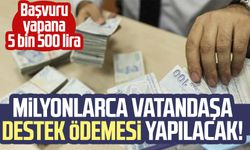 Milyonlarca vatandaşa destek ödemesi yapılacak! Başvuru yapana 5 bin 500 lira