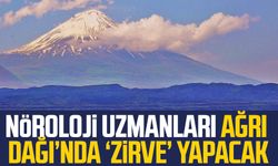 Nöroloji uzmanları Ağrı Dağı’nda ‘zirve’ yapacak