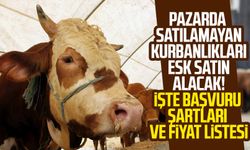 Pazarda satılamayan kurbanlıkları ESK satın alacak! İşte başvuru şartları ve fiyat listesi