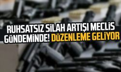 Ruhsatsız silah artışı meclis gündeminde! Düzenleme geliyor