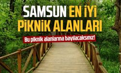 Bu piknik alanlarına bayılacaksınız! İşte Samsun en iyi piknik alanları