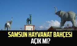 Samsun Hayvanat Bahçesi açık mı? 2024