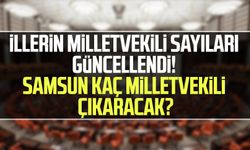 İllerin milletvekili sayıları güncellendi! Samsun kaç milletvekili çıkaracak?