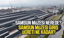 Samsun Müzesi nerede? Samsun Müzesi giriş ücreti ne kadar?