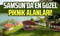 Samsun piknik alanları!