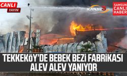 Samsun Tekkeköy'de fabrika yangını! PEDO yanıyor