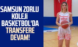 Samsun Zorlu Koleji Basketbol'da transfere devam!